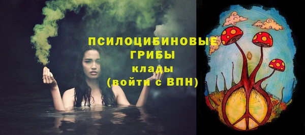 дмт Арсеньев