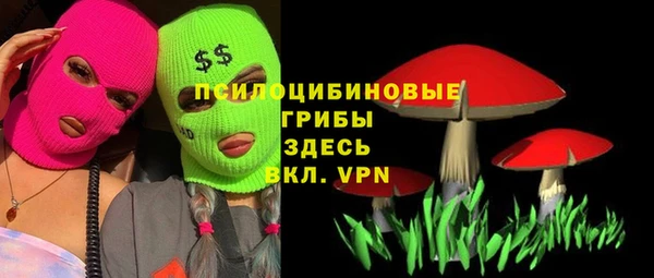 тгк Аркадак