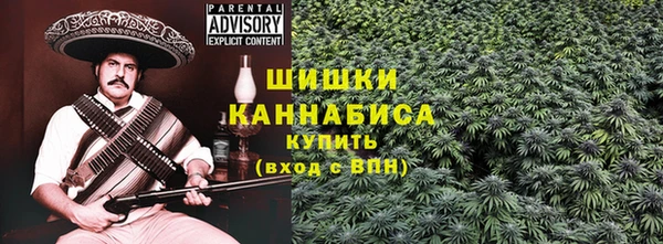дмт Арсеньев