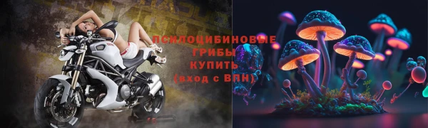 ешки Армянск