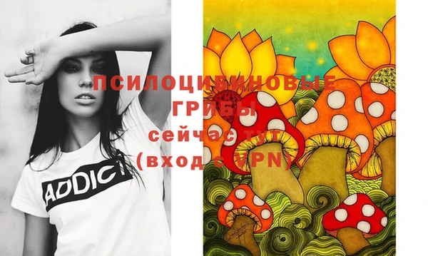 дмт Арсеньев
