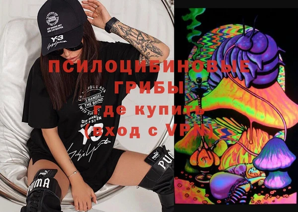 тгк Аркадак