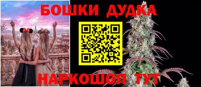 гидропоника Кингисепп