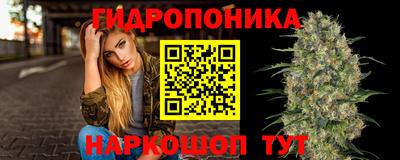 шишки Кимры