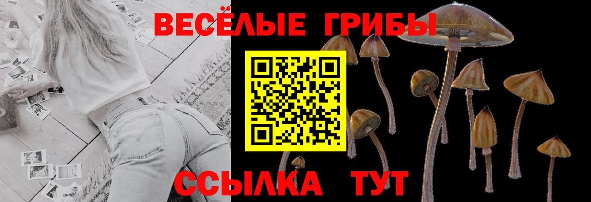 Галлюциногенные грибы Magic Shrooms  цены   Кубинка  Вход с VPN 